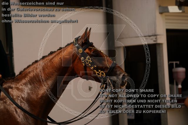 s_K3F01366.JPG
